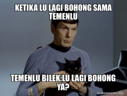 Spock and Cat Meme