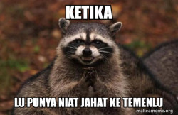 Evil Plotting Raccoon