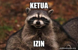 Evil Plotting Raccoon