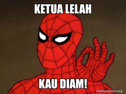 Spiderman - Care factor Zero