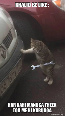 Mechanic Cat