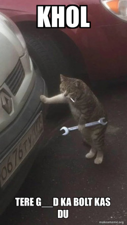 Mechanic Cat