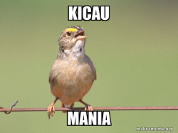 Common Opinion Sparrow