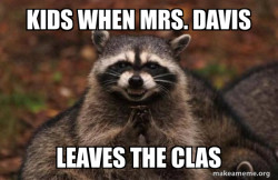 Evil Plotting Raccoon