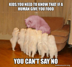 Malicious Storytelling Dog