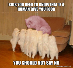 Malicious Storytelling Dog