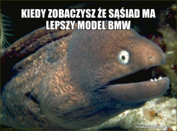 Bad Joke Eel
