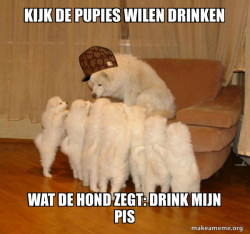 Scumbag Storytelling Dog