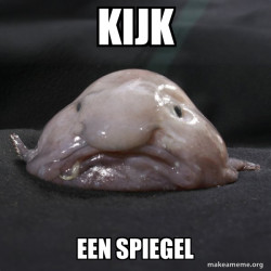 Blobfish