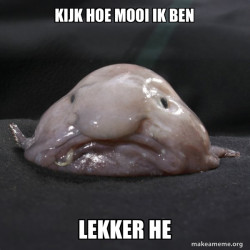 Blobfish