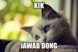 First World Cat Problems