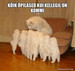 Storytelling Dog