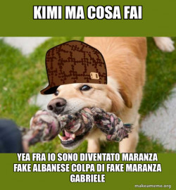 fake