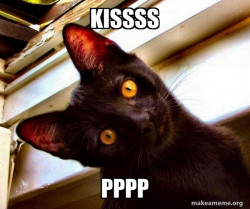Overly Attached Cat