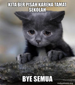 Confession Cat