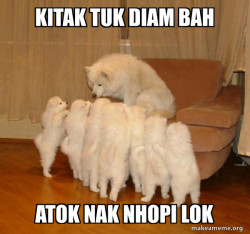 Storytelling Dog