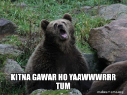 Sarcastic Bear