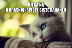First World Cat Problems