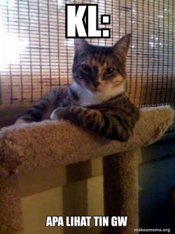 The Most Interesting Cat in the World