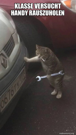 Mechanic Cat