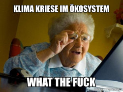 Internet Grandma