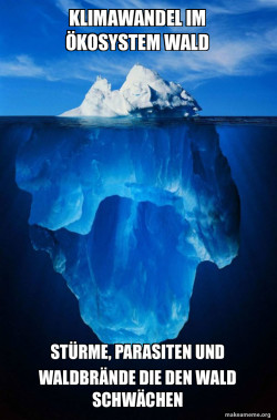 Iceberg