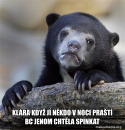 Confession Bear