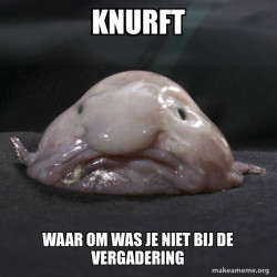 Blobfish