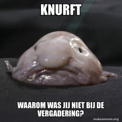 Blobfish