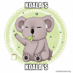 Aussie Koala doing the night shift