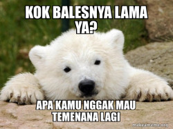 Popular Opinion Bear