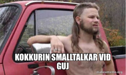 Almost Politically Correct Redneck