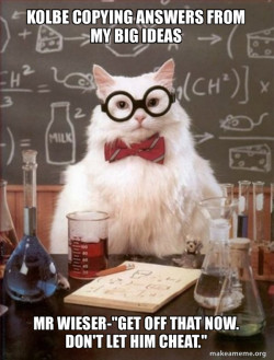 Chemistry Cat