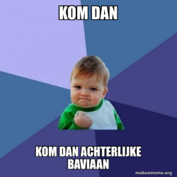 Success Kid