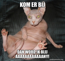 Hairless Cat