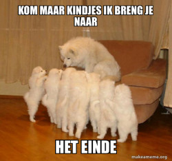 Storytelling Dog
