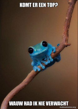Small Fact Frog