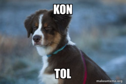 Unsure Dog