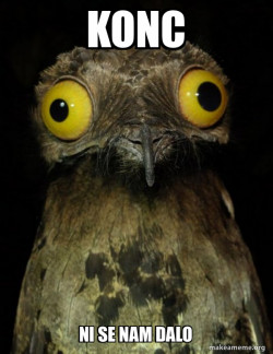Weird Stuff I do Potoo