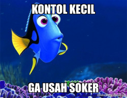 Dory from Nemo  (5 second memory)
