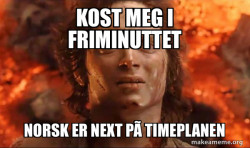 Frodo it's over it's done