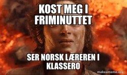 Frodo it's over it's done