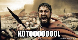 The 300