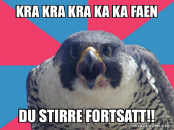 DÃM STIRRE