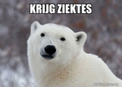 Popular Opinion Polar Bear