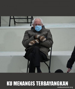 Bernie Sanders at the Inauguration