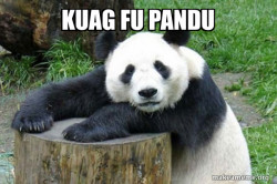 Confession Panda