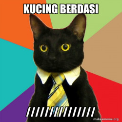 Business Cat