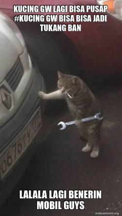Mechanic Cat