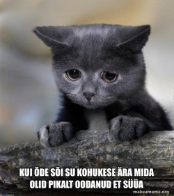Confession Cat